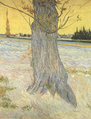 Vincent Van Gogh Trunk of an old Yew Tree (nn04) oil painting image